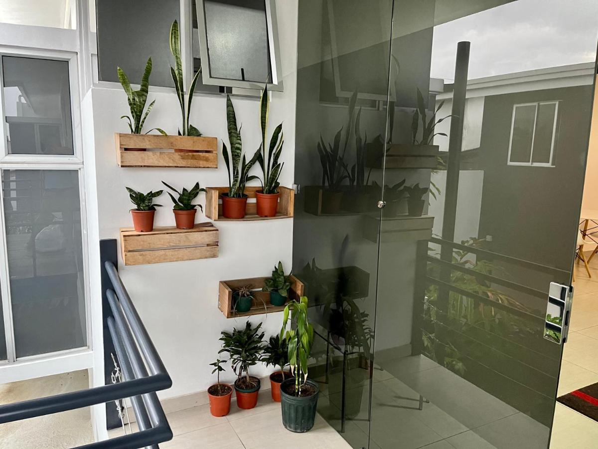 Costa Rica San Jose Full And Comfortable Apartament Pinares Curridabat Exterior photo