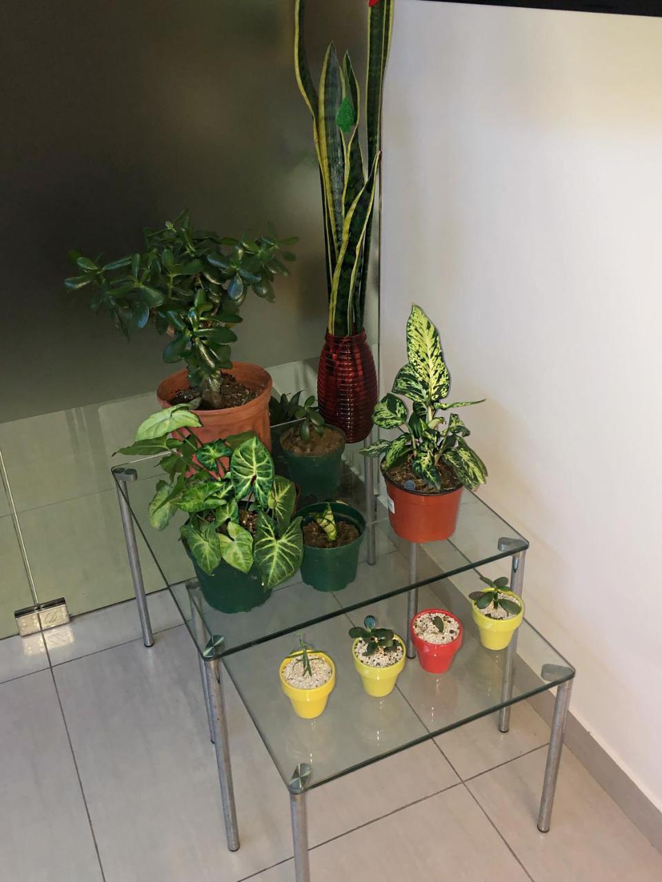 Costa Rica San Jose Full And Comfortable Apartament Pinares Curridabat Exterior photo