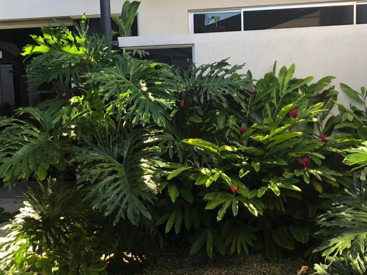 Costa Rica San Jose Full And Comfortable Apartament Pinares Curridabat Exterior photo