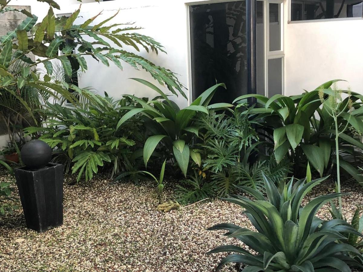 Costa Rica San Jose Full And Comfortable Apartament Pinares Curridabat Exterior photo